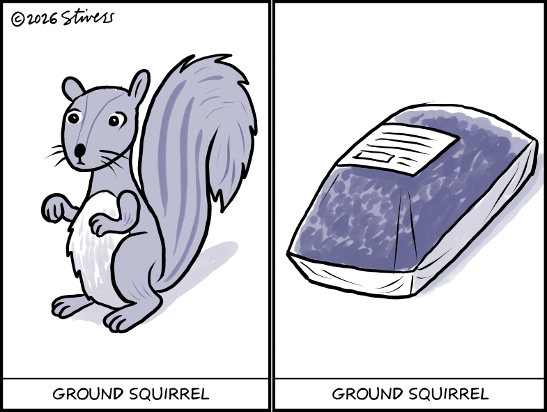 Ground squirrel